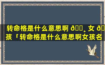 转命格是什么意思啊 🕸 女 🐅 孩「转命格是什么意思啊女孩名字」